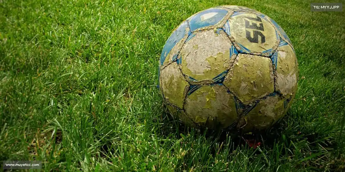 巅峰国际.comvip🧗♂️向上攀登,永不止步 —— 用勇气和毅力征服每一座 “高峰”!